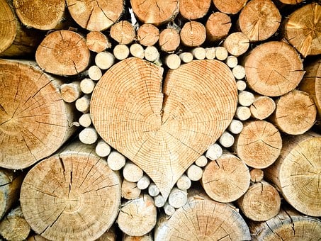 heart-timber